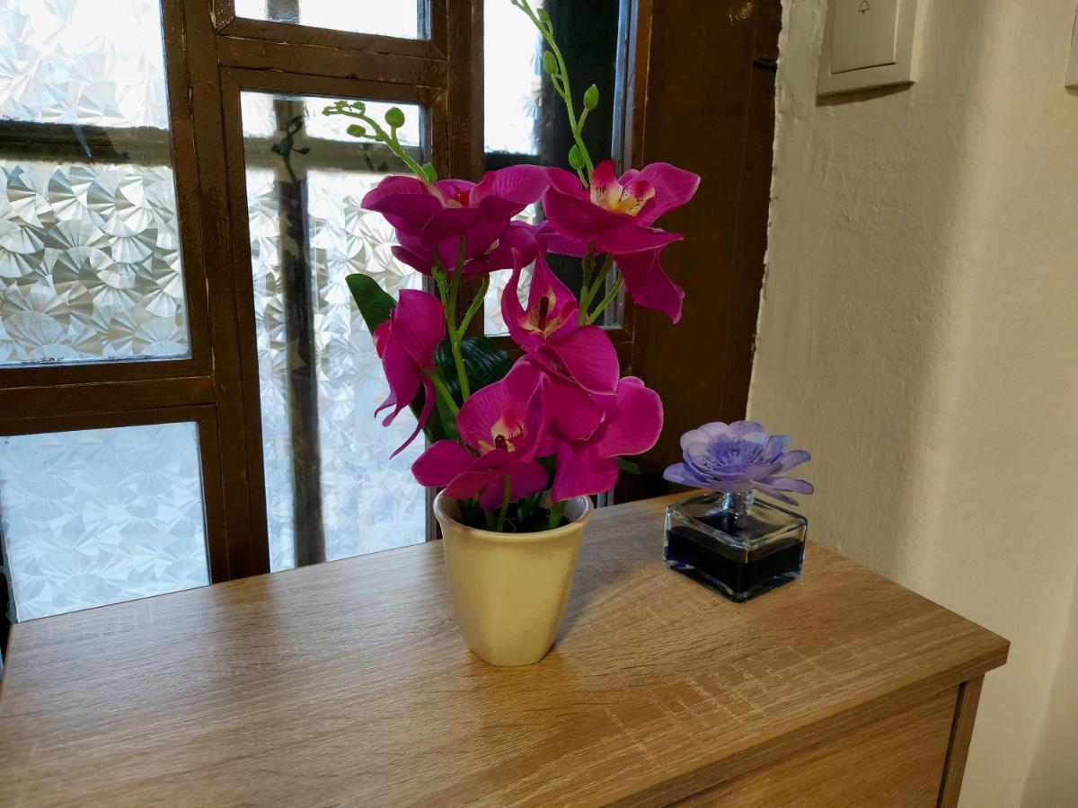 Lovely, Neat And Quite Apartment Dalia, Private Parking SJJ Eksteriør billede